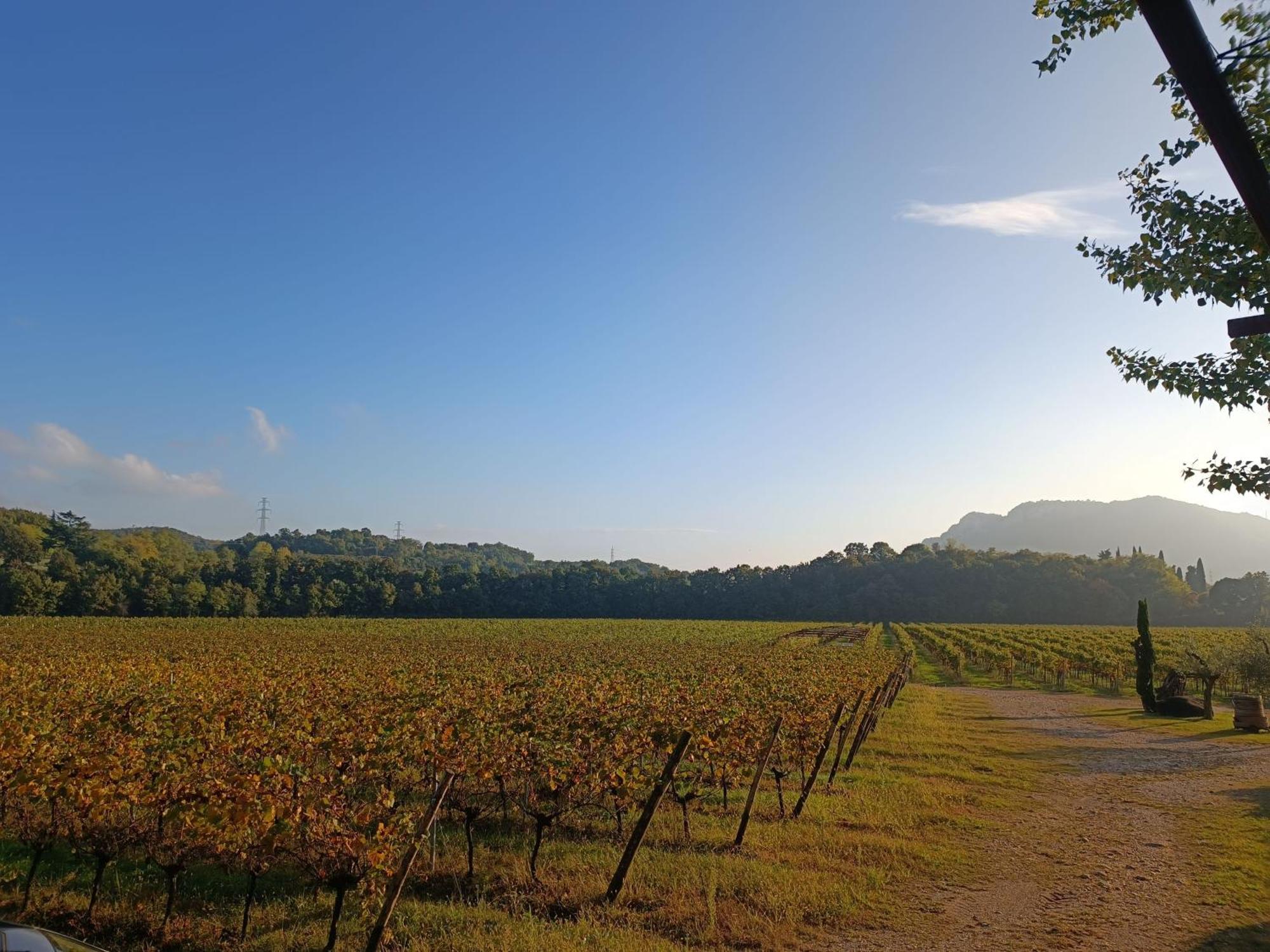 Agriturismo Corte Patrizia Caprino Veronese Luaran gambar